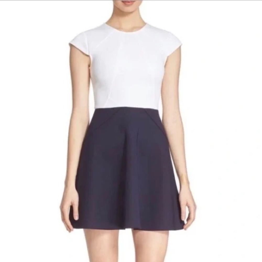 Ted Baker Color Block Skater Dress NWT Size 5
